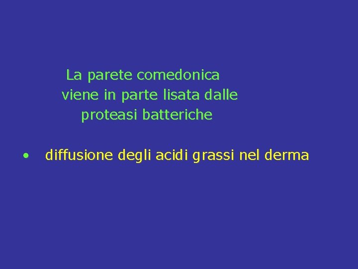  La parete comedonica viene in parte lisata dalle proteasi batteriche • diffusione degli