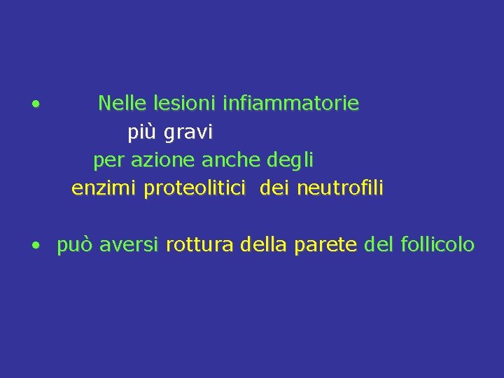  • Nelle lesioni infiammatorie più gravi per azione anche degli enzimi proteolitici dei