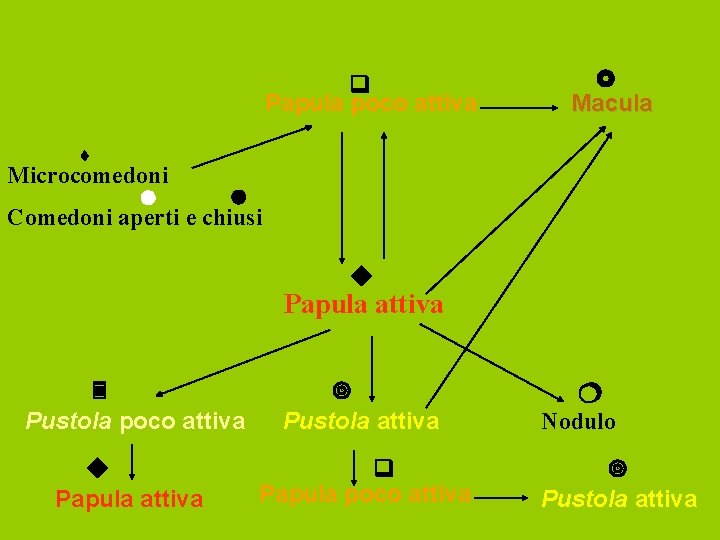  Papula poco attiva Macula Microcomedoni Comedoni aperti e chiusi Papula attiva Pustola poco