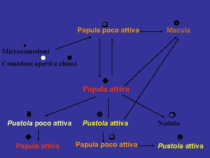  Papula poco attiva Macula Microcomedoni Comedoni aperti e chiusi Papula attiva Pustola poco