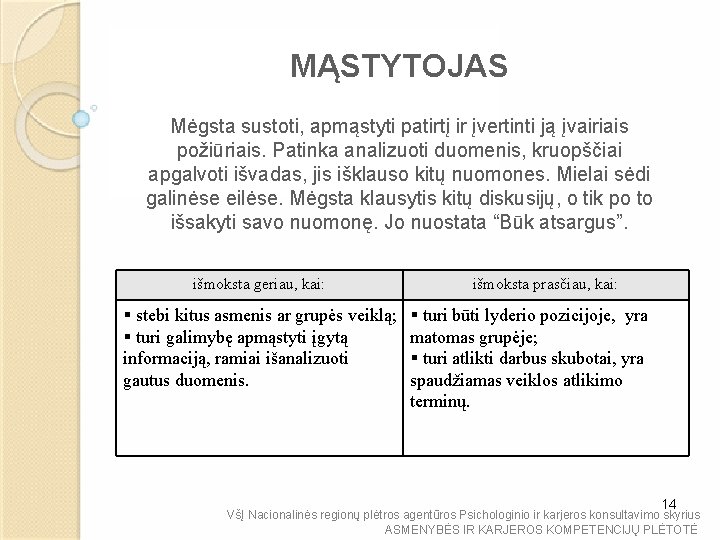 MĄSTYTOJAS Mėgsta sustoti, apmąstyti patirtį ir įvertinti ją įvairiais požiūriais. Patinka analizuoti duomenis, kruopščiai