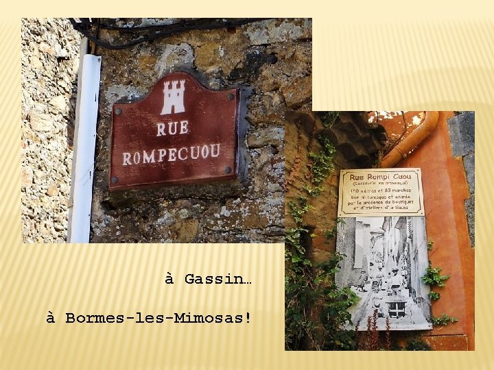 à Gassin… à Bormes-les-Mimosas! 