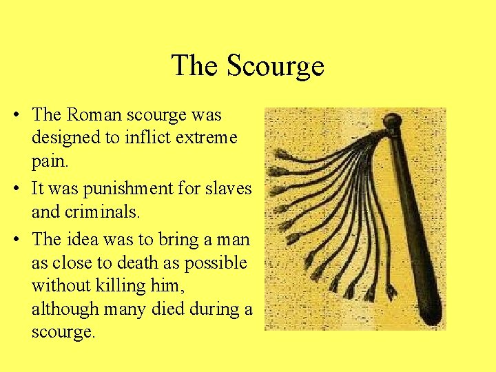 The Scourge • The Roman scourge was designed to inflict extreme pain. • It