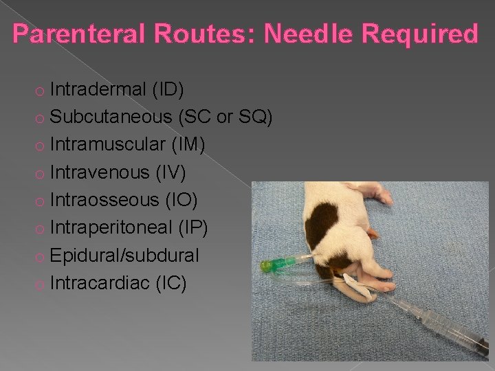 Parenteral Routes: Needle Required o Intradermal (ID) o Subcutaneous (SC or SQ) o Intramuscular
