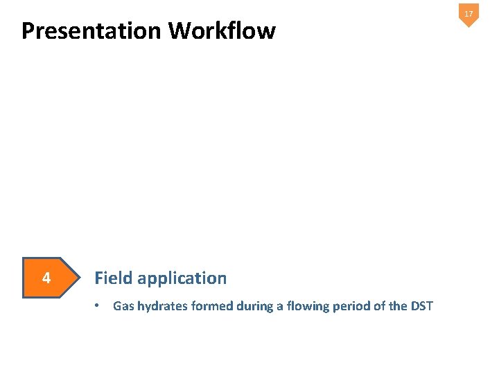 Presentation Workflow 4 Field application • Gas hydrates formed during a flowing period of