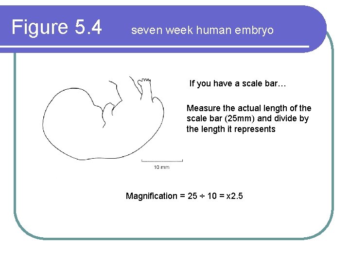 What is the actual size of this 1