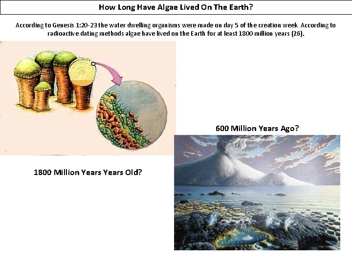 How Long Have Algae Lived On The Earth? According to Genesis 1: 20 -23