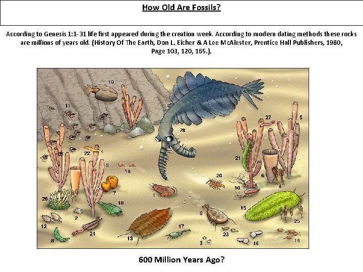 How Old Are Fossils? According to Genesis 1: 1 -31 life first appeared during