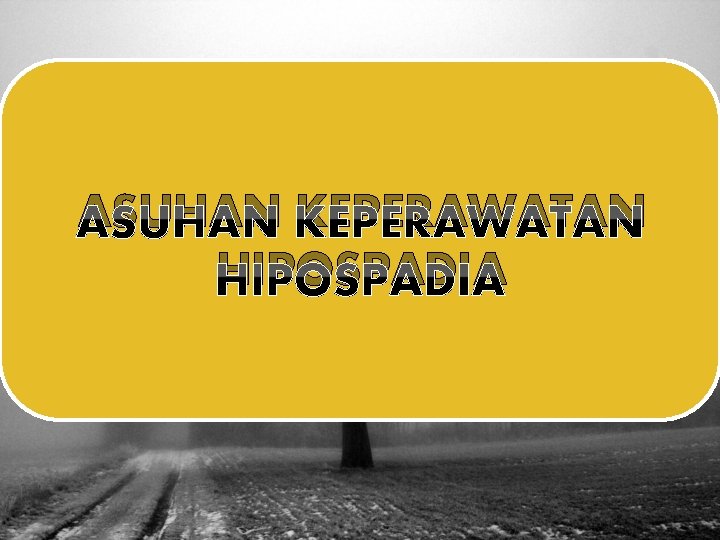 ASUHAN KEPERAWATAN HIPOSPADIA 