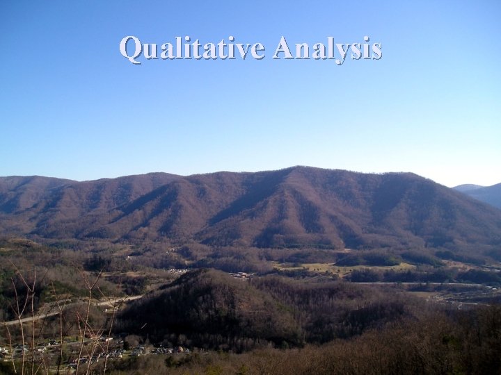 Qualitative Analysis 