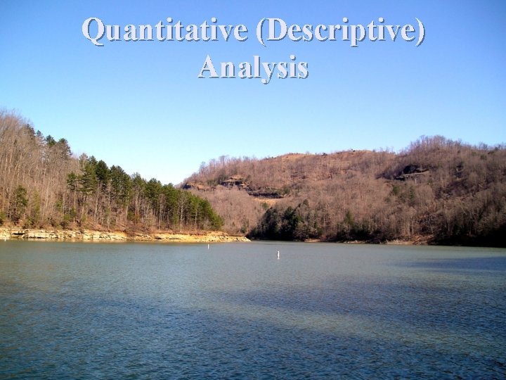 Quantitative (Descriptive) Analysis 