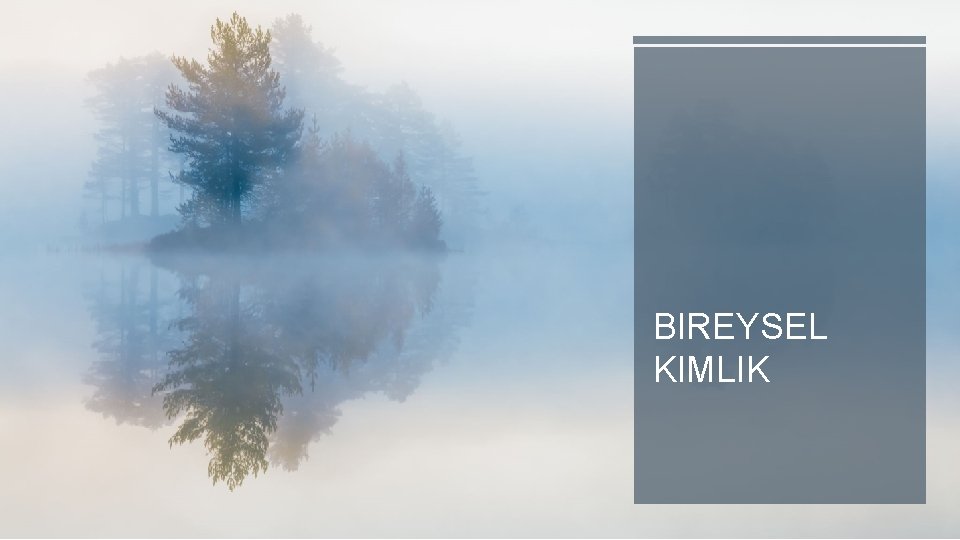 BIREYSEL KIMLIK 