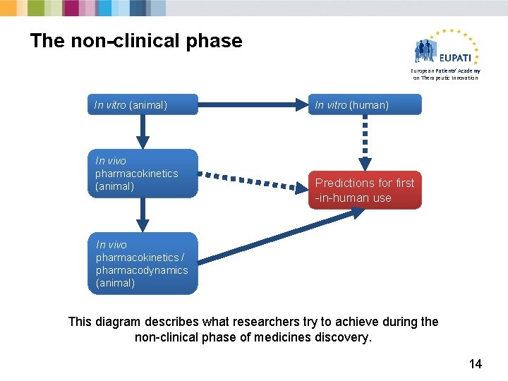 The non-clinical phase European Patients’ Academy on Therapeutic Innovation In vitro (animal) In vivo