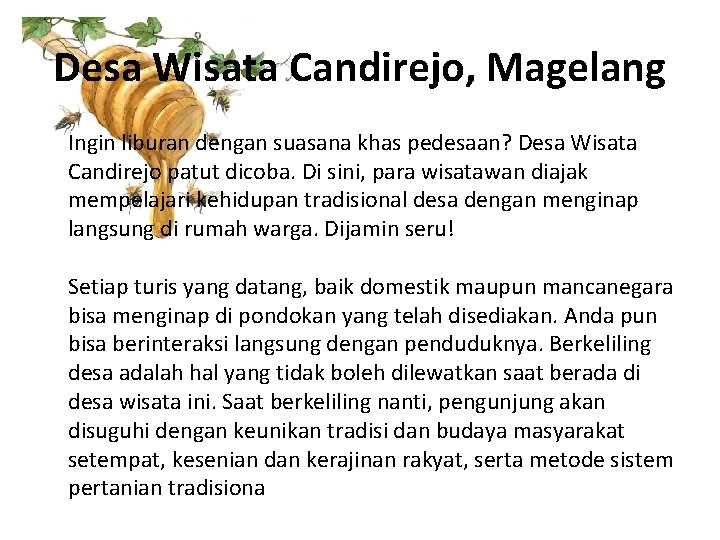 Desa Wisata Candirejo, Magelang Ingin liburan dengan suasana khas pedesaan? Desa Wisata Candirejo patut