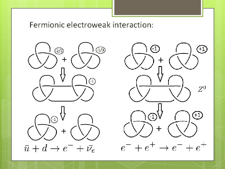 Fermionic electroweak interaction: 