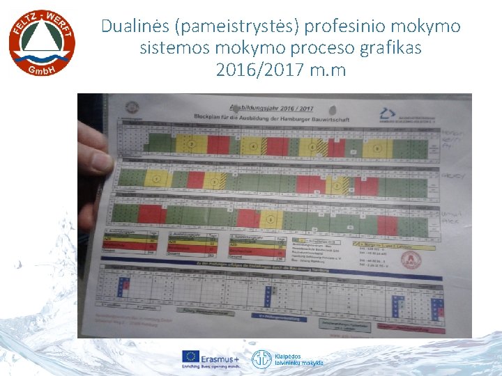 Dualinės (pameistrystės) profesinio mokymo sistemos mokymo proceso grafikas 2016/2017 m. m 