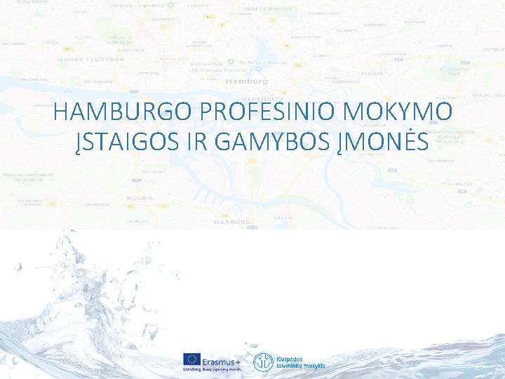 HAMBURGO PROFESINIO MOKYMO ĮSTAIGOS IR GAMYBOS ĮMONĖS 