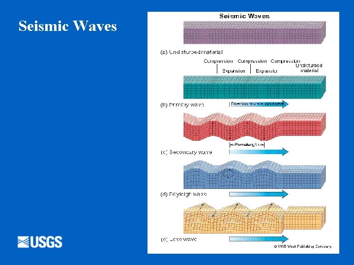 Seismic Waves 