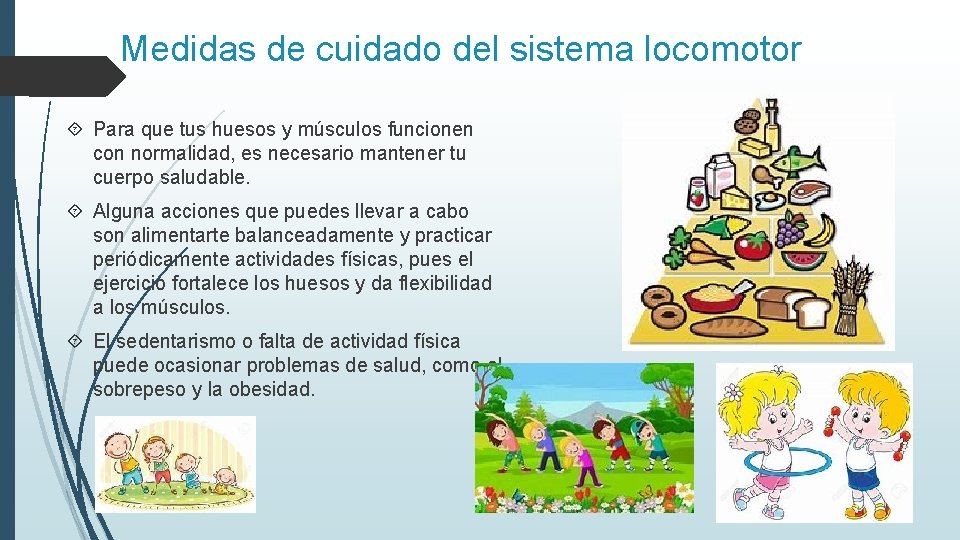 REPASO DE CIENCIAS NATURALES SISTEMA LOCOMOTOR El sistema