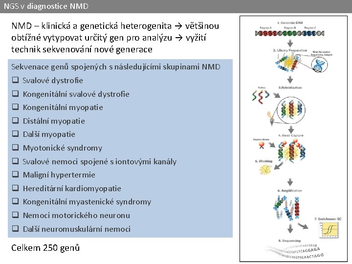 NGS v diagnostice NMD – klinická a genetická heterogenita → většinou obtížné vytypovat určitý