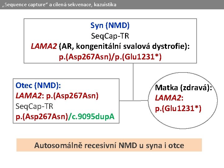 „Sequence capture“ a cílená sekvenace, kazuistika Syn (NMD) Seq. Cap-TR LAMA 2 (AR, kongenitální