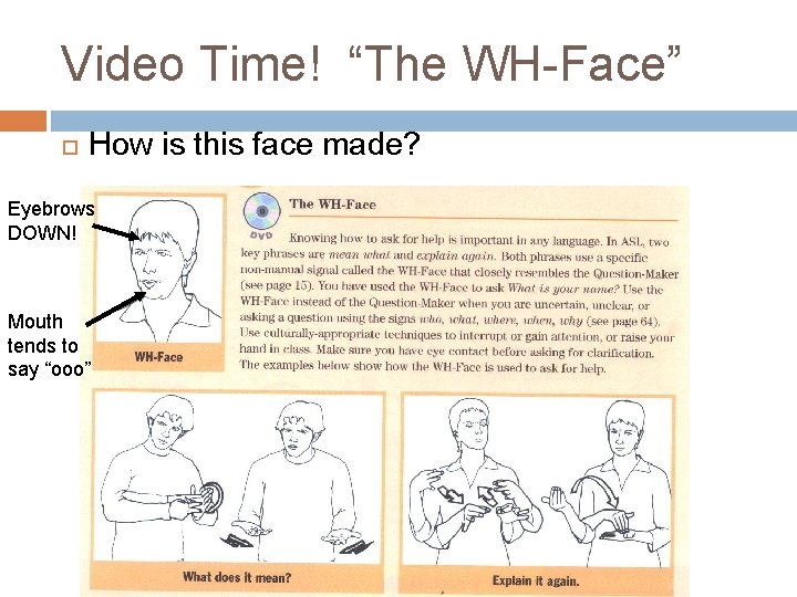Video Time! “The WH-Face” How is this face made? Eyebrows DOWN! Mouth tends to Video Time! “The WH-Face” How is this face made? Eyebrows DOWN! Mouth tends to