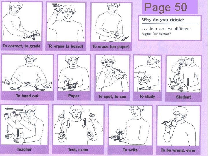 Page 50 Page 50