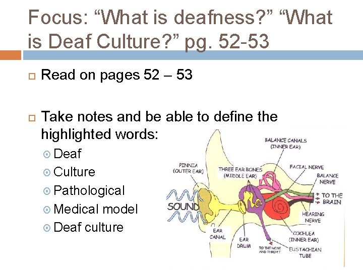 Focus: “What is deafness? ” “What is Deaf Culture? ” pg. 52 -53 Read Focus: “What is deafness? ” “What is Deaf Culture? ” pg. 52 -53 Read