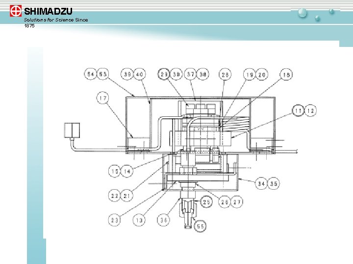 SHIMADZU Solutions for Science Since 1875 