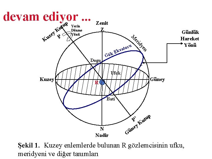 devam ediyor. . . p y P Yerin Dönme Yönü Zenit Z Günlük Hareket