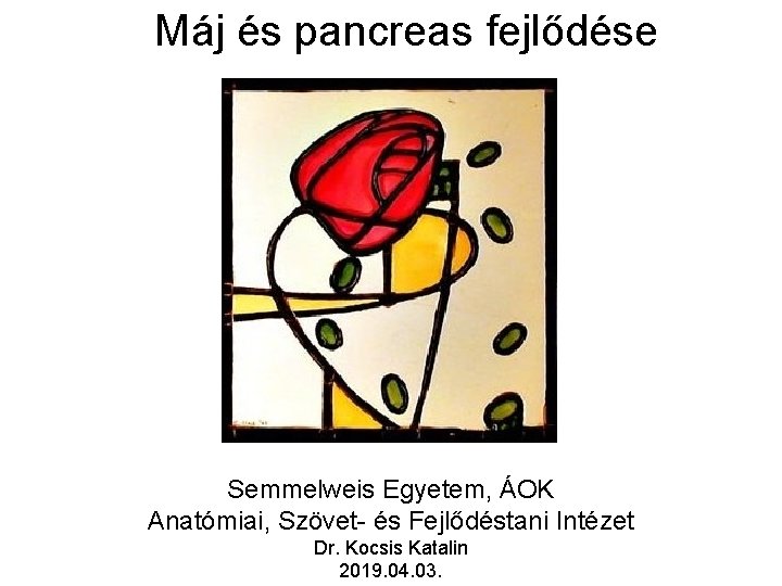 Máj és pancreas fejlődése Semmelweis Egyetem, ÁOK Anatómiai, Szövet- és Fejlődéstani Intézet Dr. Kocsis Máj és pancreas fejlődése Semmelweis Egyetem, ÁOK Anatómiai, Szövet- és Fejlődéstani Intézet Dr. Kocsis