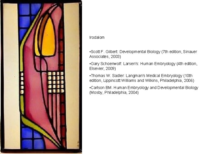 Irodalom • Scott F. Gilbert: Developmental Biology (7 th edition, Sinauer Associates, 2003) • Irodalom • Scott F. Gilbert: Developmental Biology (7 th edition, Sinauer Associates, 2003) •