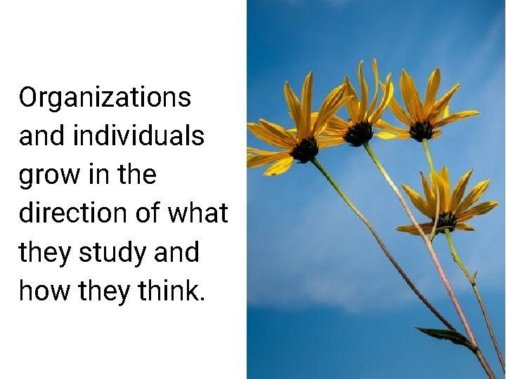 Organizations and individuals grow in the direction of what they study and how they Organizations and individuals grow in the direction of what they study and how they