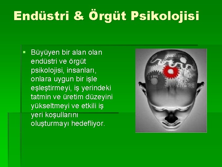 Endüstri & Örgüt Psikolojisi § Büyüyen bir alan olan endüstri ve örgüt psikolojisi, insanları,