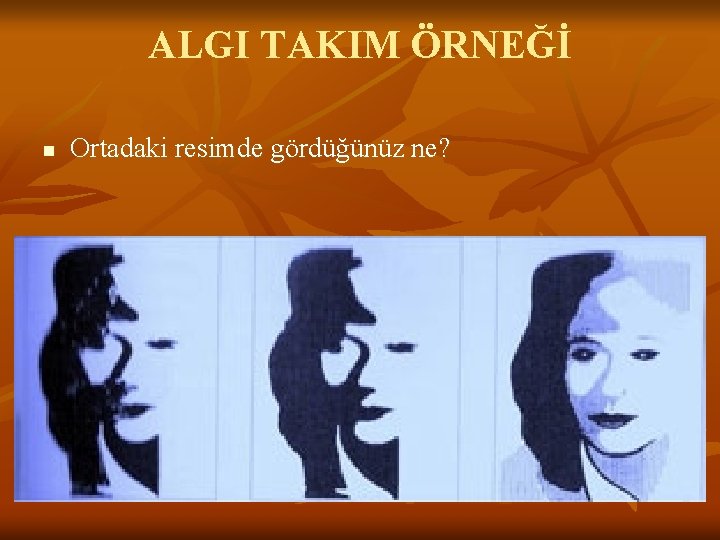 ALGI TAKIM ÖRNEĞİ n Ortadaki resimde gördüğünüz ne? 