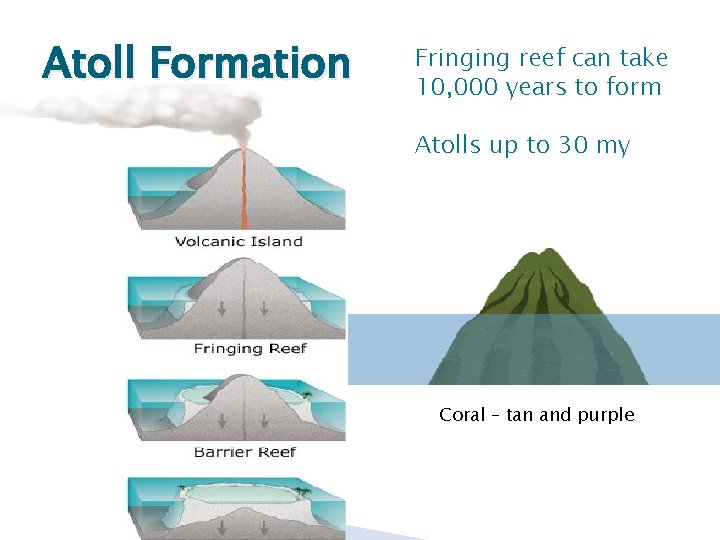 Atoll Formation Fringing reef can take 10, 000 years to form Atolls up to