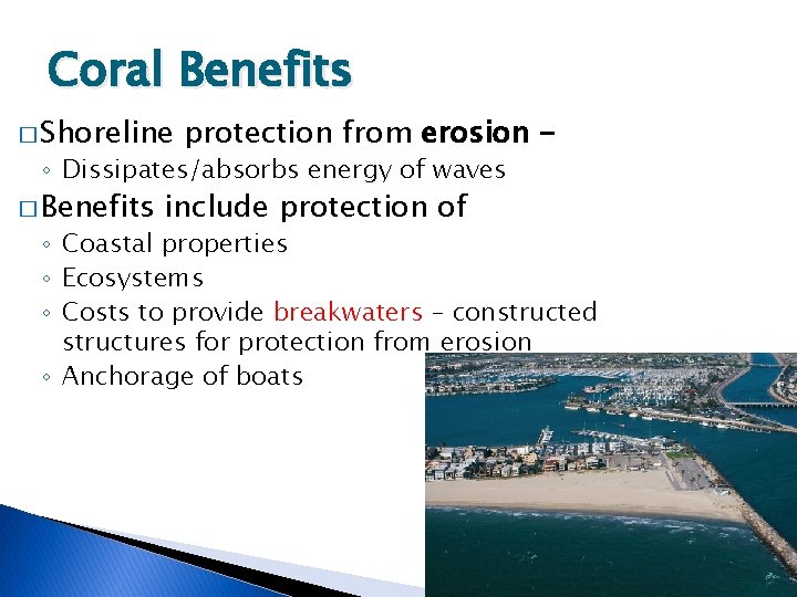 Coral Benefits � Shoreline protection from erosion - ◦ Dissipates/absorbs energy of waves �