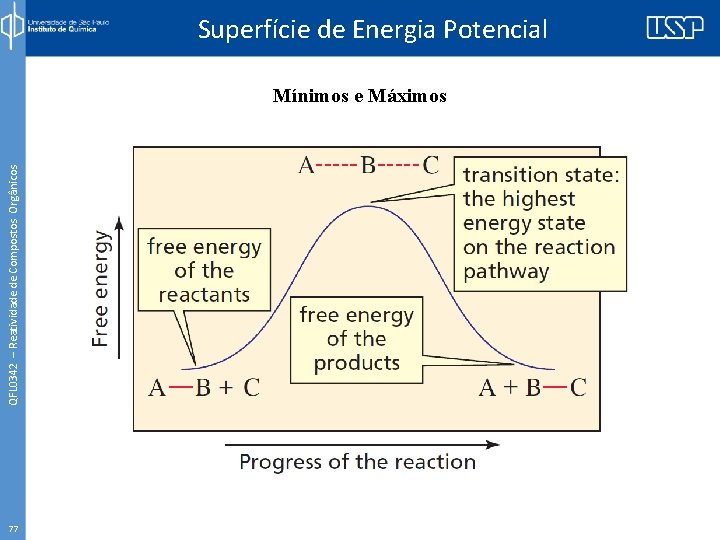 Superfície de Energia Potencial QFL 0342 – Reatividade de Compostos Orgânicos Mínimos e Máximos