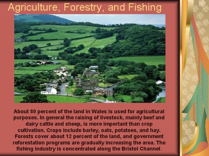 Agriculture, Forestry, and Fishing About 80 percent of the land in Wales is used