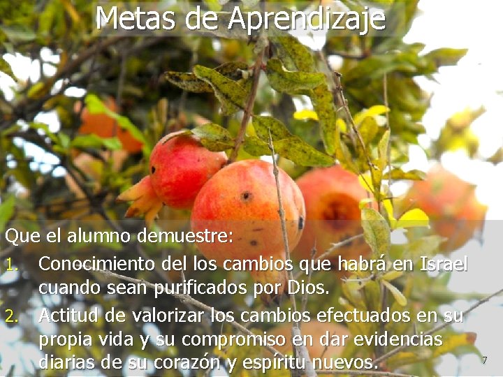 Metas de Aprendizaje Que el alumno demuestre: 1. Conocimiento del los cambios que habrá Metas de Aprendizaje Que el alumno demuestre: 1. Conocimiento del los cambios que habrá