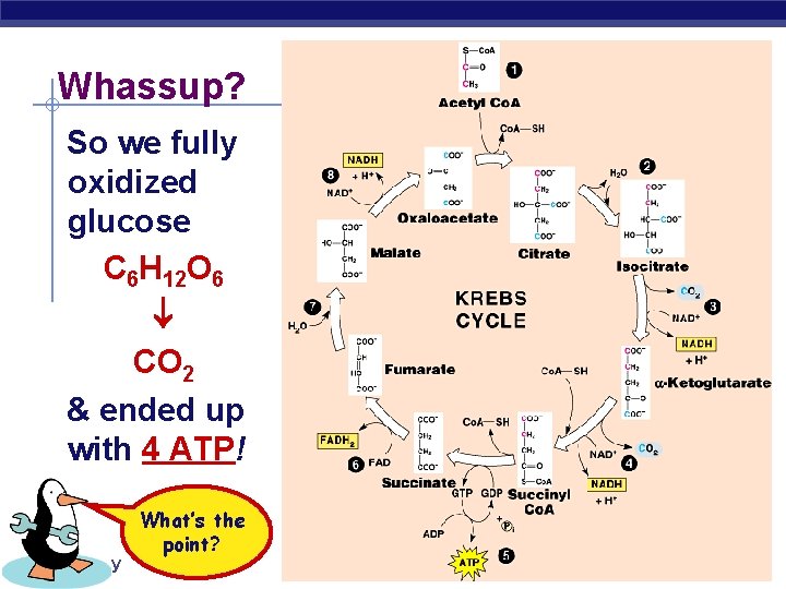 Whassup? So we fully oxidized glucose C 6 H 12 O 6 CO 2