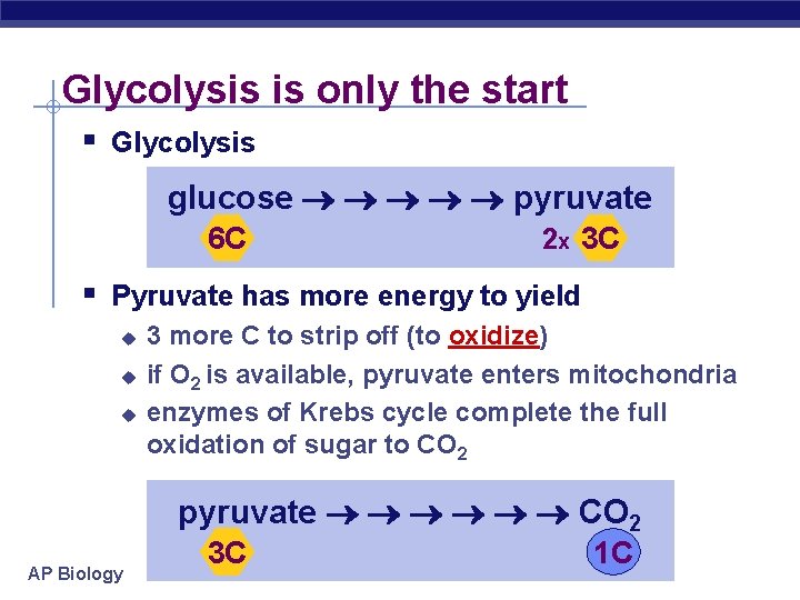 Glycolysis is only the start § Glycolysis glucose pyruvate 6 C 2 x 3