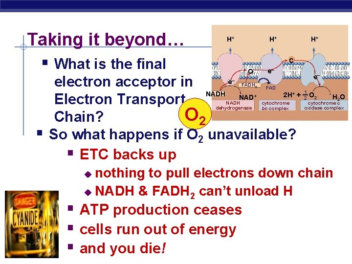 Taking it beyond… § What is the final H+ H+ H+ C Q e–