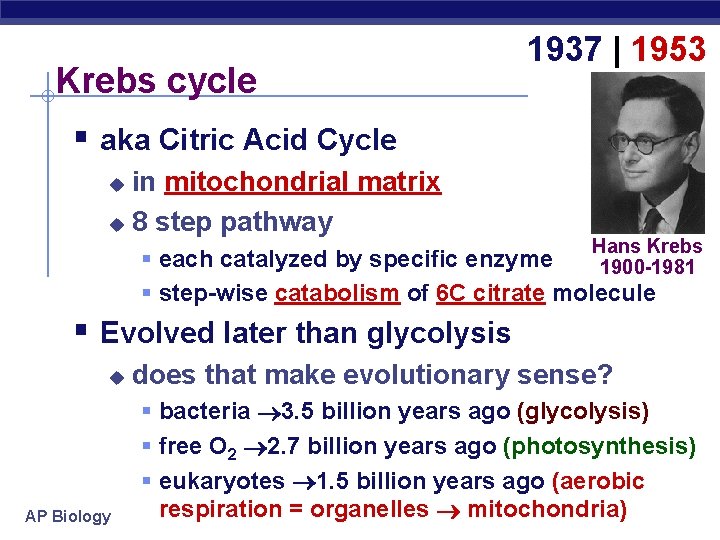 Krebs cycle 1937 | 1953 § aka Citric Acid Cycle in mitochondrial matrix u