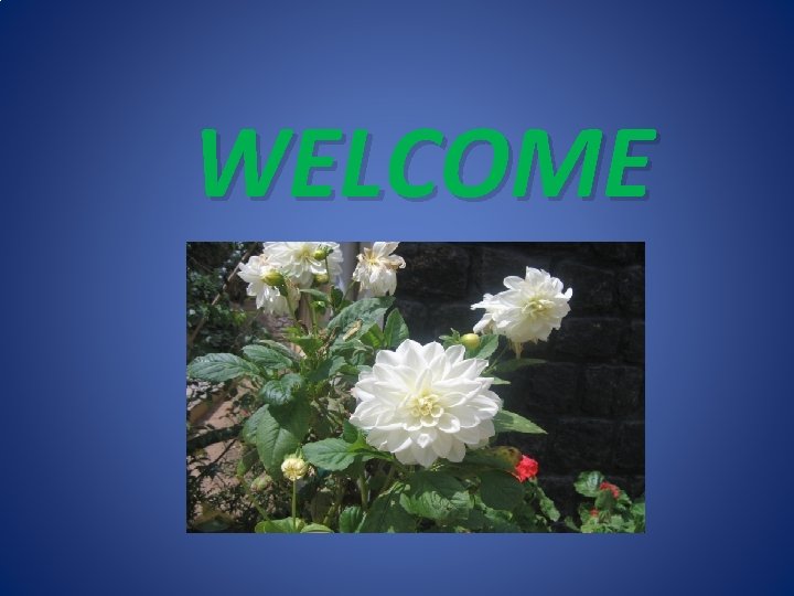 WELCOME 