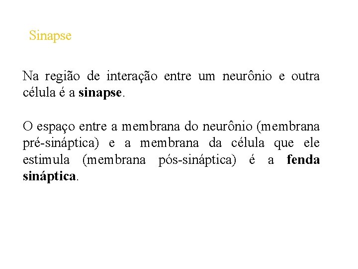 Sinapse Na região de interação entre um neurônio e outra célula é a sinapse.