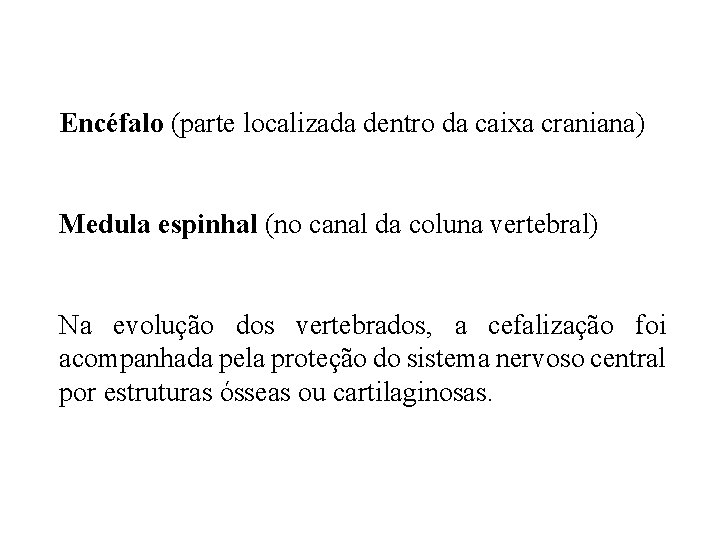Encéfalo (parte localizada dentro da caixa craniana) Medula espinhal (no canal da coluna vertebral)