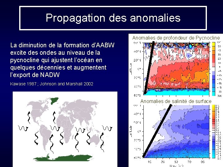 Propagation des anomalies Anomalies de profondeur de Pycnocline La diminution de la formation d’AABW