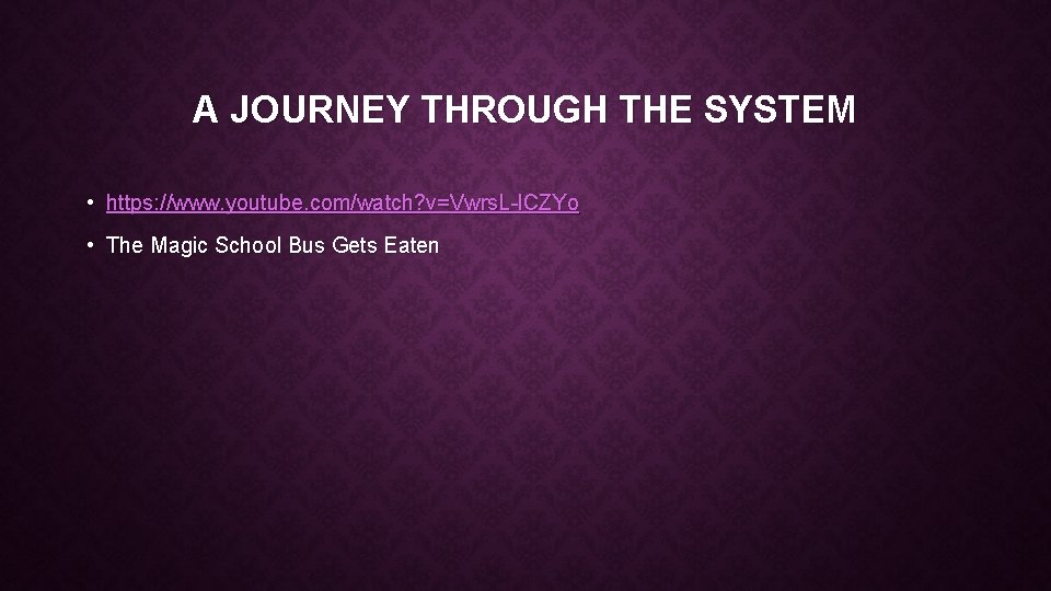 A JOURNEY THROUGH THE SYSTEM • https: //www. youtube. com/watch? v=Vwrs. L-l. CZYo •