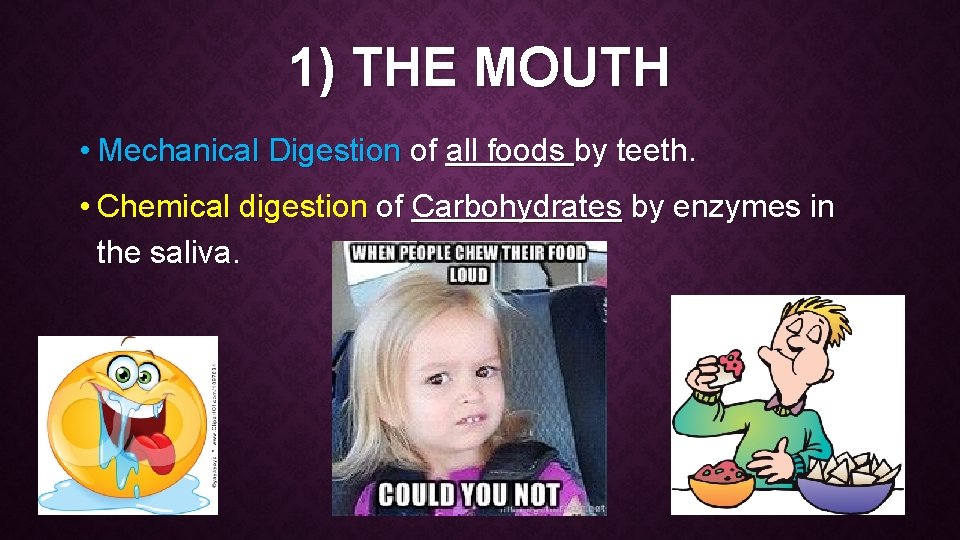 1) THE MOUTH • Mechanical Digestion of all foods by teeth. • Chemical digestion